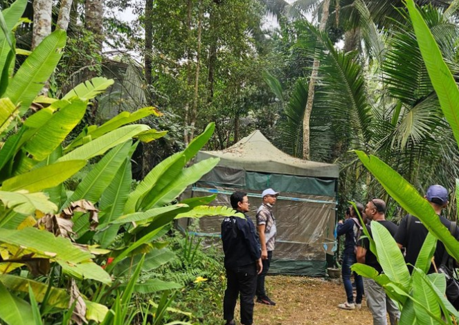 Siasat 3 WNA Sekeluarga Bikin Tenda di Bali Ternyata Pabrik Narkoba