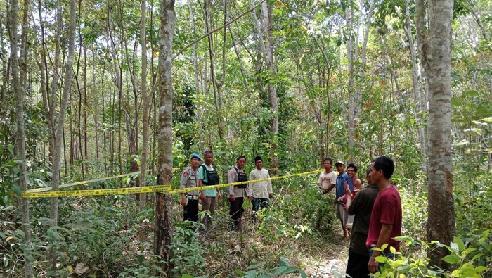 Sebelum Tewas Diinjak, Ibu Hamil 5 Bulan di Musi Rawas Sempat Usir Gajah